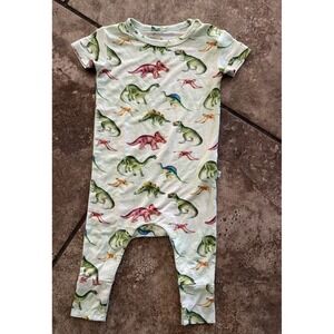 Posh Peanut Baby Boys 3-6 Months Mos Green Dinosaur Sleeper Pajamas VGC